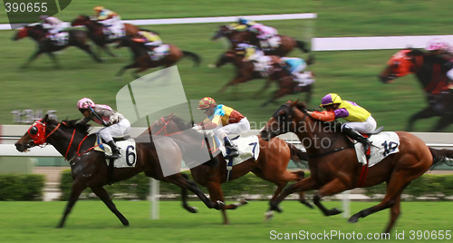 Image of Horse Racing