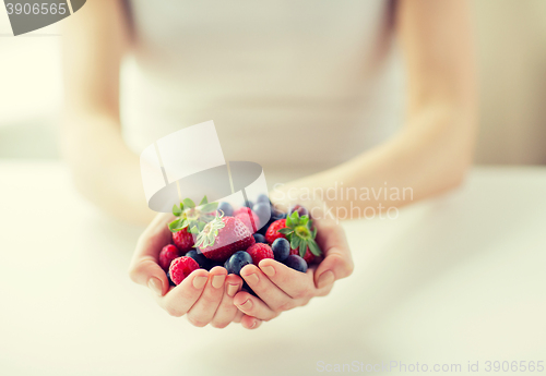 Image of close up of woman hands holding berries