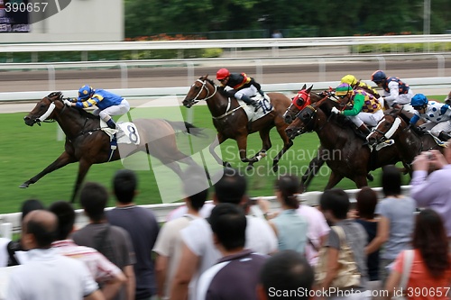 Image of Horse Racing