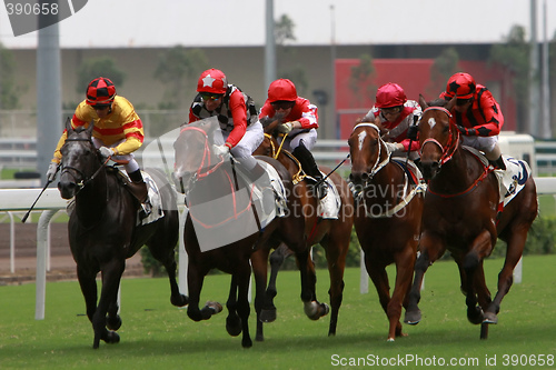 Image of Horse Racing