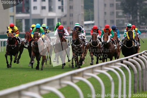 Image of Horse Racing