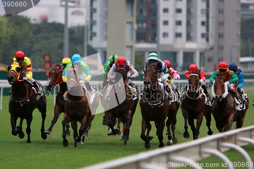 Image of Horse Racing