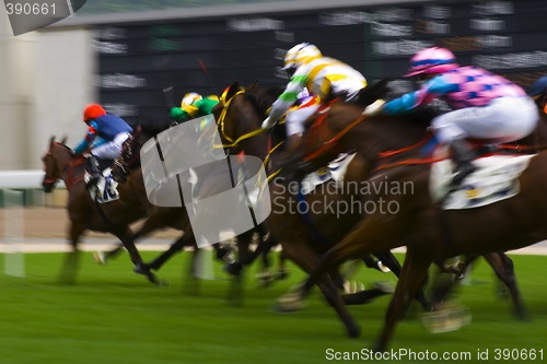 Image of Horse Racing