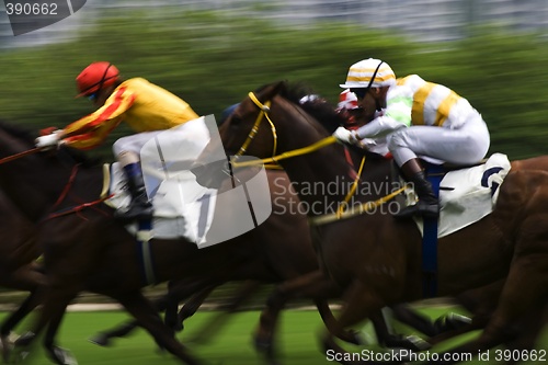 Image of Horse Racing