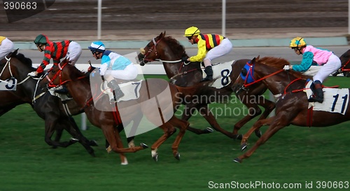 Image of Horse Racing