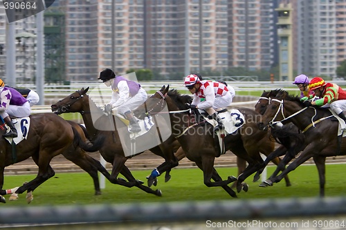 Image of Horse Racing