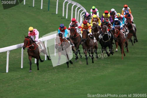 Image of Horse Racing