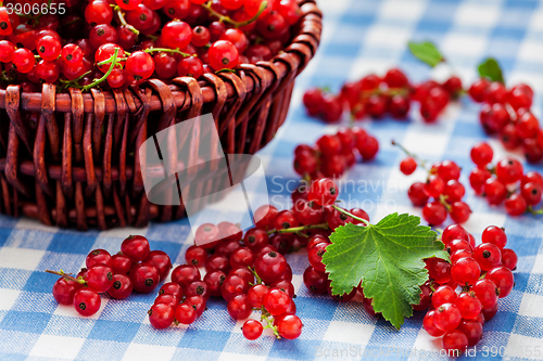 Image of Redcurrant in wicker bowl on the table