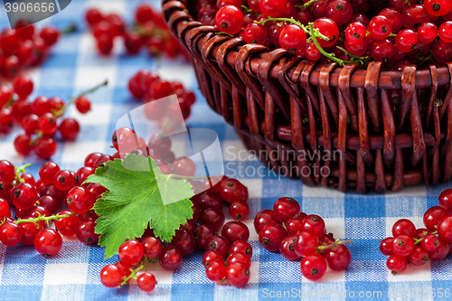 Image of Redcurrant in wicker bowl on the table