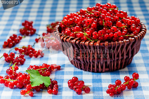 Image of Redcurrant in wicker bowl on the table