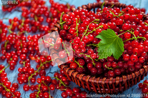 Image of Redcurrant in wicker bowl on the table