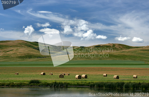 Image of Prairie in Canada