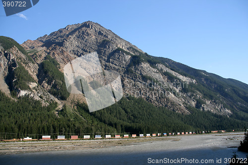 Image of Freight train in Canada