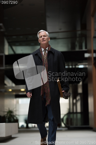 Image of handsome senior business man walking