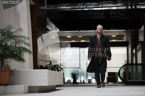 Image of handsome senior business man walking