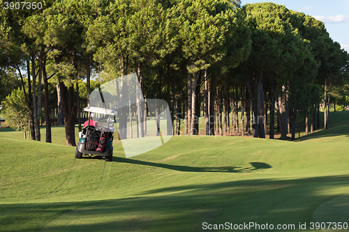 Image of couple in buggy on golf course