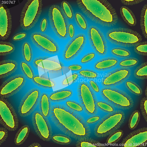 Image of bacteria