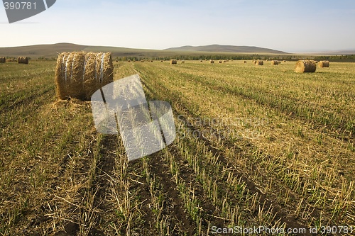 Image of Hay Bale