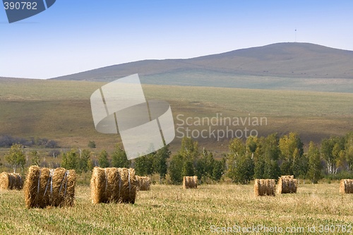 Image of Hay Bale