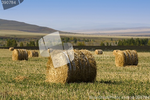 Image of Hay Bale