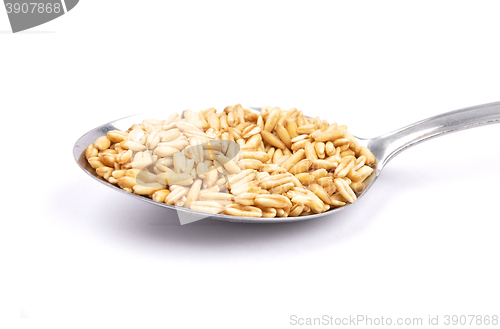 Image of Oat on spoon