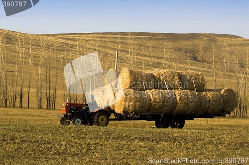 Image of Hay Bale Transportation