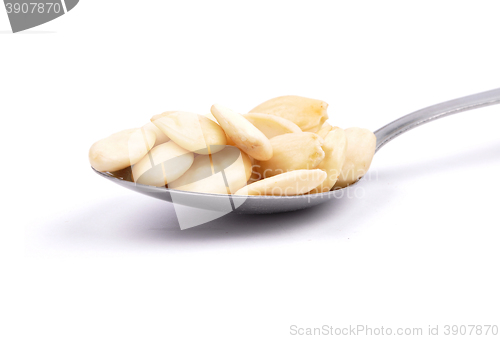 Image of Blanched almonds on spoon