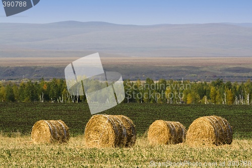 Image of Hay Bale