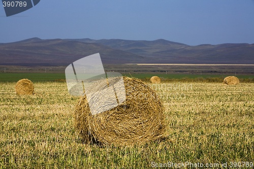 Image of Hay Bale