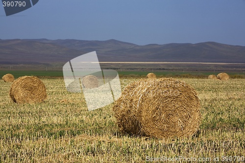 Image of Hay Bale