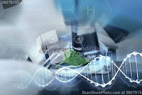 Image of close up of hand with microscope and green leaf