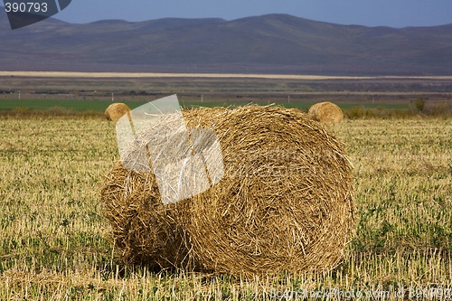 Image of Hay Bale