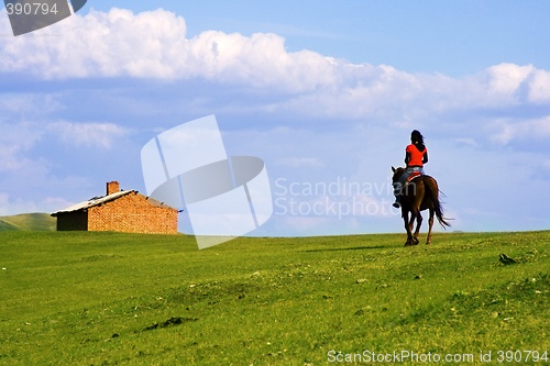 Image of Returning Home