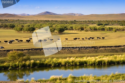 Image of Autumn Grassland View