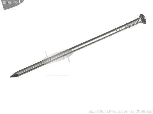 Image of Nail 