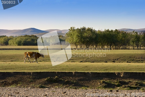 Image of Autumn Grassland View