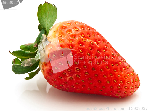 Image of Garden Strawberry
