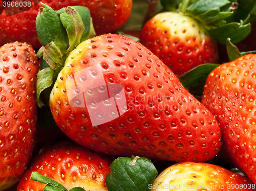 Image of Strawberries