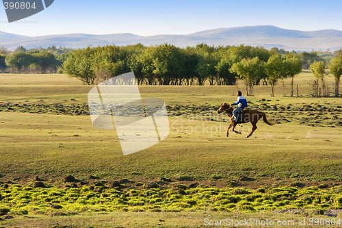 Image of Horse Riding At The Grassland
