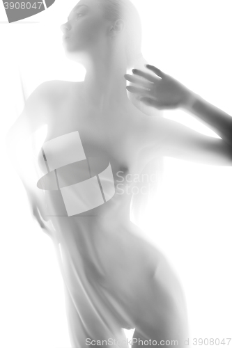Image of Silhouette of young sexy woman on white background. 