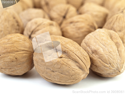 Image of Walnuts