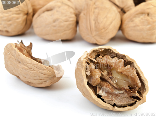 Image of Walnuts