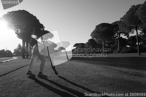 Image of golf player placing ball on tee