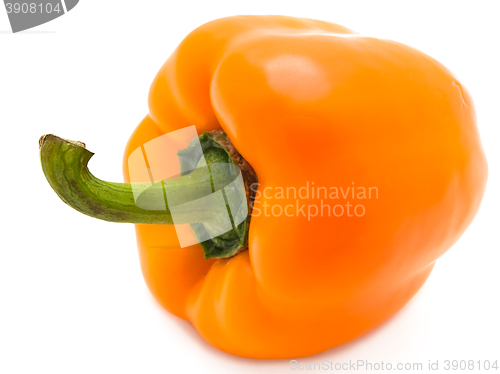 Image of Paprika 