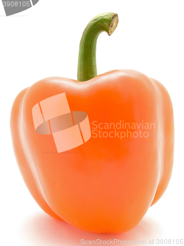 Image of Paprika