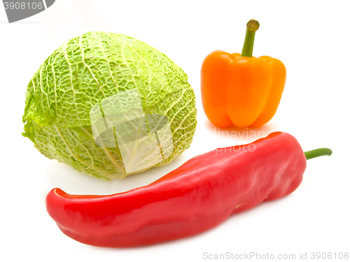 Image of Pepper and Cabbage