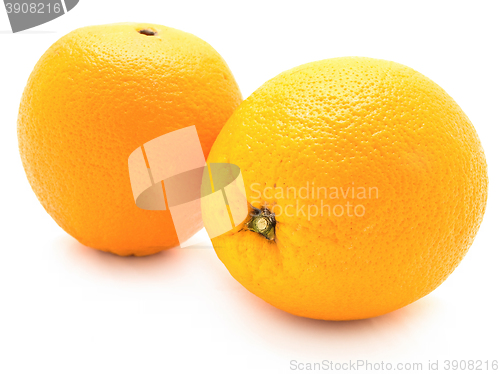 Image of Oranges