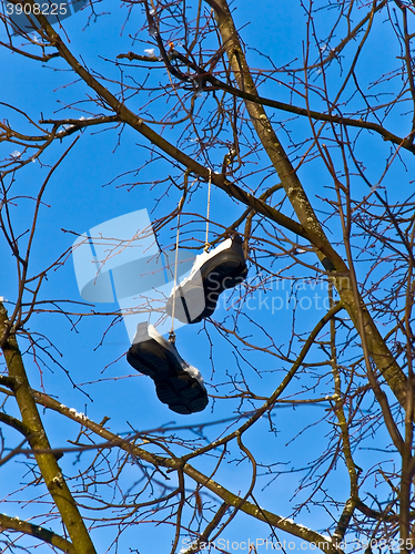 Image of Snickers on the Tree