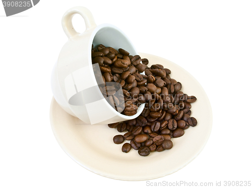 Image of Coffee Beans