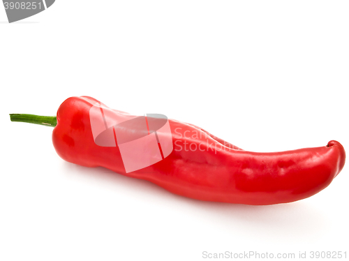 Image of Red Pepper